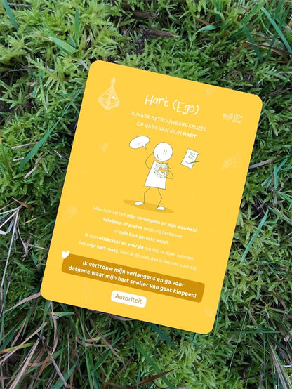 Human Design Integratie – Toolkit - Professionals