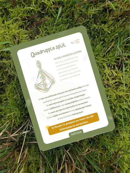 Human Design Integratie – Toolkit - Professionals