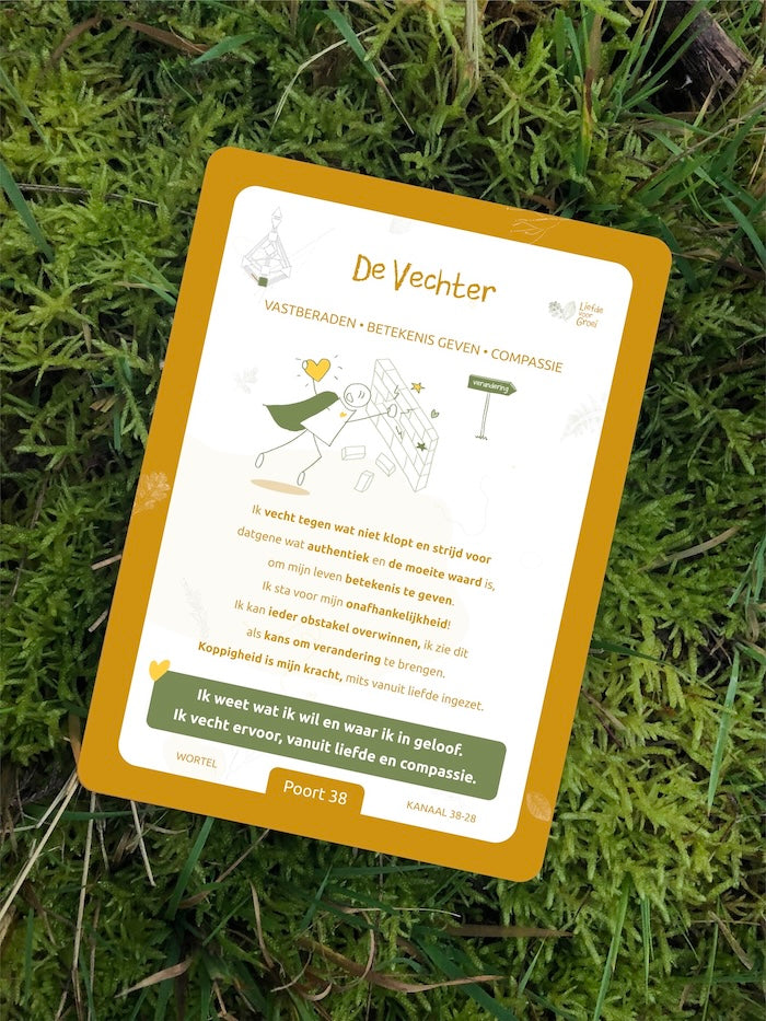 Human Design Integratie – Toolkit - Professionals