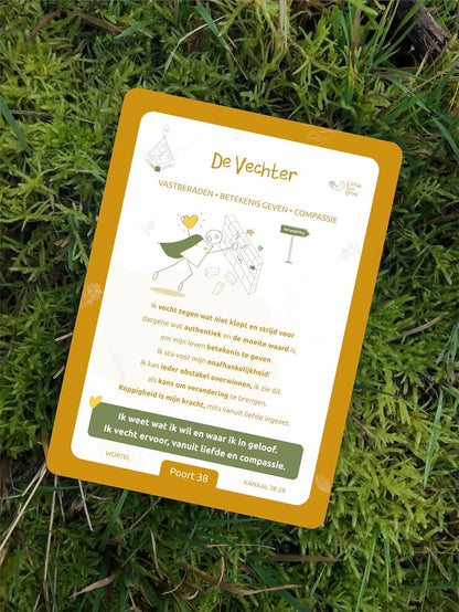 Human Design Integratie – Toolkit - Professionals