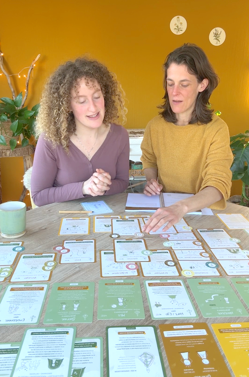 Human Design Integratie – Toolkit - Professionals