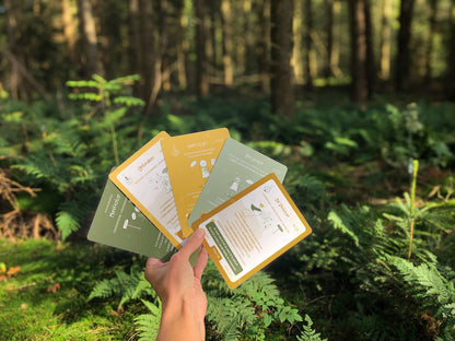 Human Design Integratie – Toolkit - Professionals