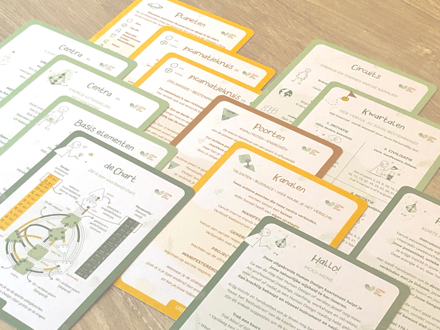 Human Design Integratie – Toolkit - Professionals