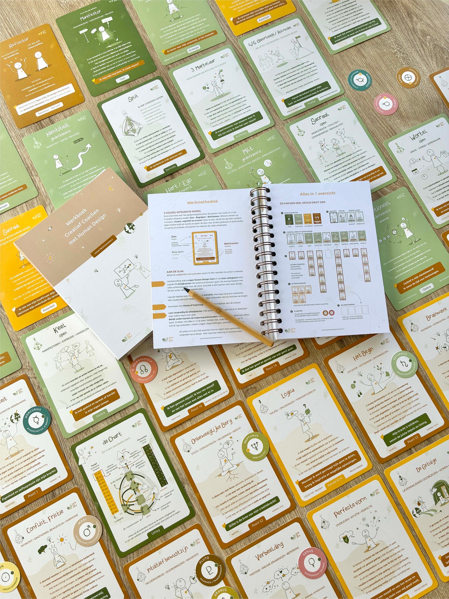 Human Design Integratie – Toolkit - Professionals